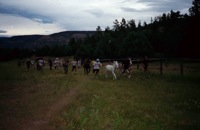 Philmont 1992 - Boy Scout Troop 68 - Melrose