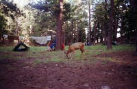 Philmont Pictures 1992 - Melrose Boy Scout Troop 68