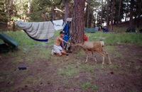 Philmont Pictures 1992 - Melrose Boy Scout Troop 68