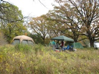 Mini-Camporee 2008