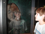 Boy Scout visit to Minnesota Science Museum