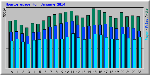 Hourly usage for January 2014