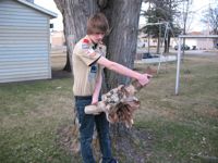 Boy Scout finds bison skull?