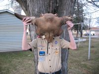 Boy Scout finds bison skull?