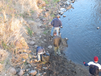 Boy Scouts of Melrose Troop 68 clean trash along river shoreline.