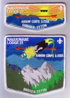 Orcder Of The Arrow Naguonabe Lodge Patch